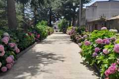 piscina-2