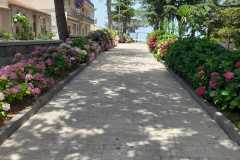 piscina-4