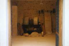 MUSEO-8