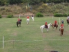 ippodromo