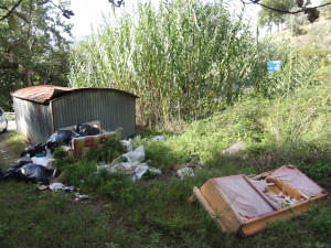 DSC01751